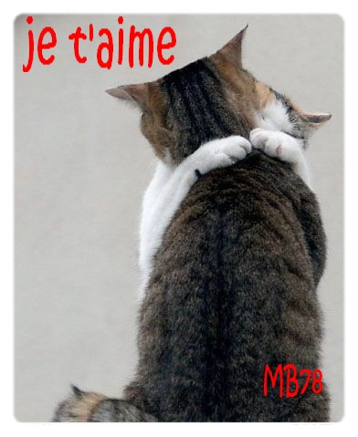 là c'est ma soeur tigresse et et léon (faut que je les surveille tous les deux)