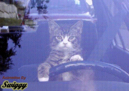heuuu il imite bien ma marie au volant lolllllll  vi vi je l'ai vu faire ça