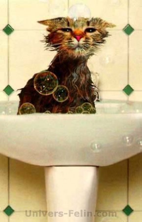 la c'est moi chiffon en train de prendre mon bain avant de voir mon océane d'amour