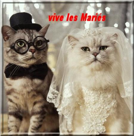 voila mon reve