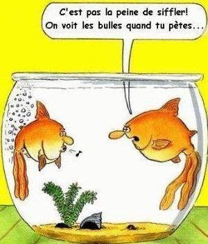 pour marie lol