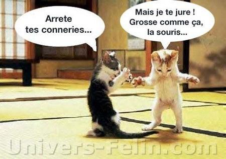 ben voui on voit qu'océane est venue à marseille elle a la folie des grandeurs lollllllllllllllllllllllllll 
