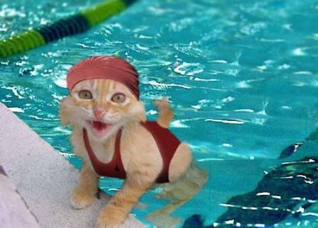 t'as vu tata belphy j'ai pris océane dans la piscine chez notre cousin quand elle était en vacances