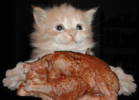 heuuuuuuuu un ptit cadeau pour mon océane d'amour