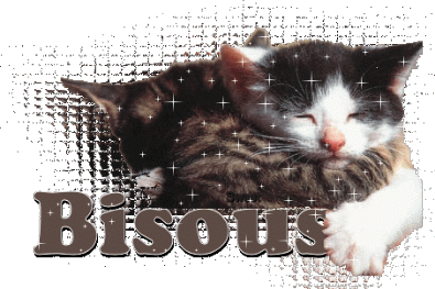 de gros gros bisoussssssss pour la mamounette à ma belphy