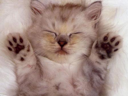 hooooooo l'est tout mimi lui 