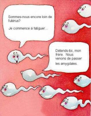 spécial belphy , voila pkoi tia po de bebe faut pas les avaler ses ptits machins tu te gourre de trou , ralalalalala allez les amies faut lui expliquer - ceci dit je reconnais bien là ta gourmandise l