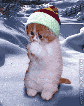 brrrrrrrr ça caille