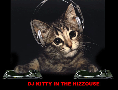 moi chiffon on dj oauiiiiiiiiii chat à donné