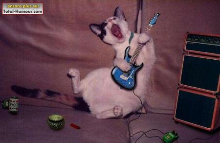 génial océane le mex à la guitare hunnnnnnn
