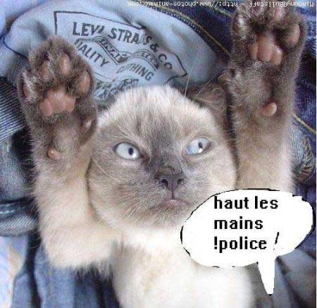 houla j'ai rien fait mouaaaaaaa
