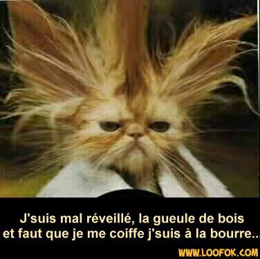 ma belphy au réveil !!!!!!!!!!!