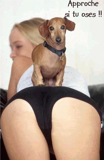 heruuuuu ma marie je comprends tout maintenant 