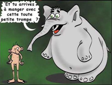 lolllllllllllllll