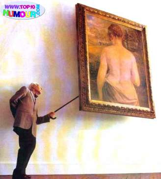 toujours les meme ces hommes !!!!!!!!! curieux va