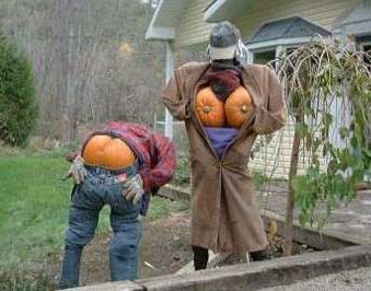 voila ma belphy ce que ça donne des piqures d'abeilles lolllllllllllllllllllllllll