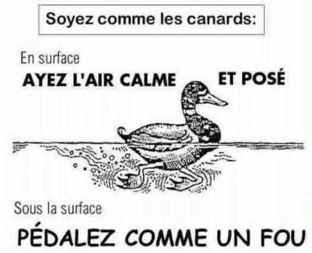 pour ma belphy bon courage pour le début de cette semaine