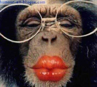 notre miss belphy s'est fait une beauté pour attendre le facteur