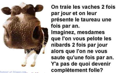 haaaaa c ça la vache folle
