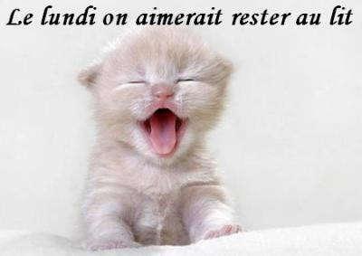 pour ma belphy 