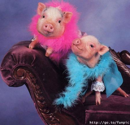 belphy et sany , les deux plus cochones que je connais bisoussss les filles