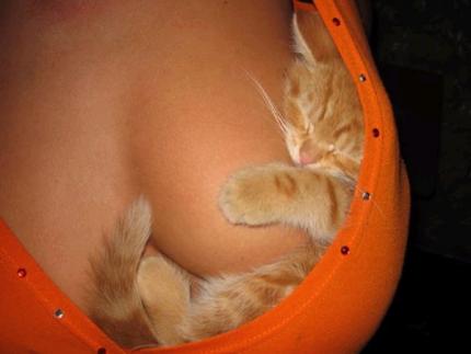 hum hum